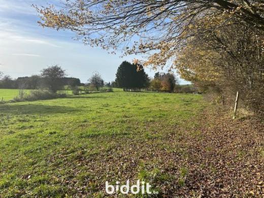 Presentatiebeeld van het pand n° 295466