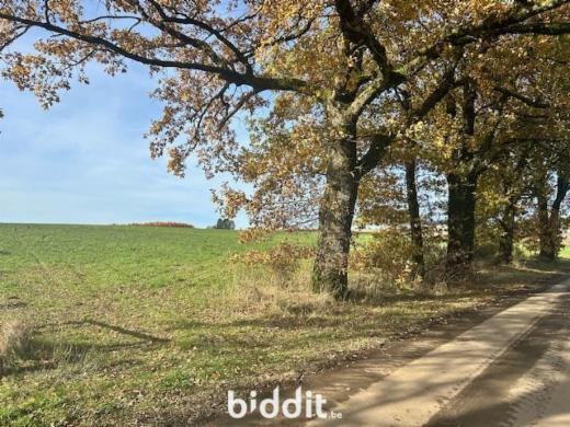 Eerste alternatieve foto van het pand