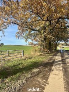 Presentatiebeeld van het pand n° 295483