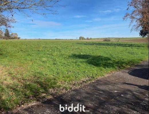 Presentatiebeeld van het pand n° 295488