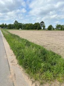 Tweede alternatieve foto van het pand