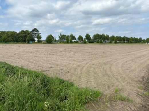 Derde alternatieve foto van het pand