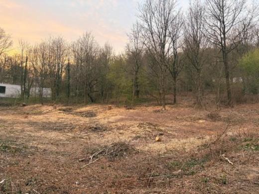 Presentatiebeeld van het pand n° 296898
