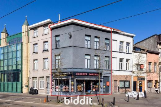 Presentatiebeeld van het pand n° 294862