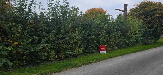 Eerste alternatieve foto van het pand