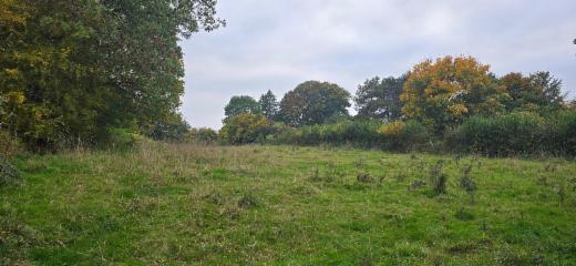 Tweede alternatieve foto van het pand