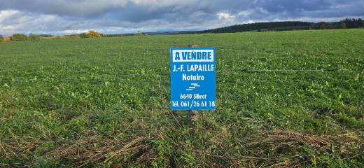 Eerste alternatieve foto van het pand