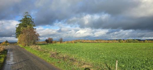 Tweede alternatieve foto van het pand