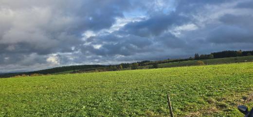 Derde alternatieve foto van het pand