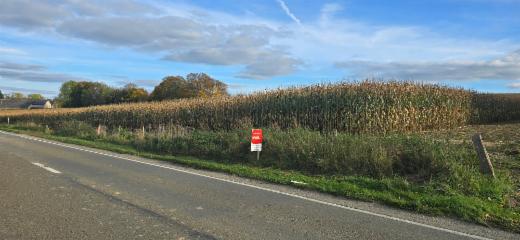 Eerste alternatieve foto van het pand