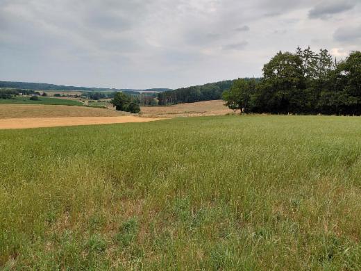 Derde alternatieve foto van het pand