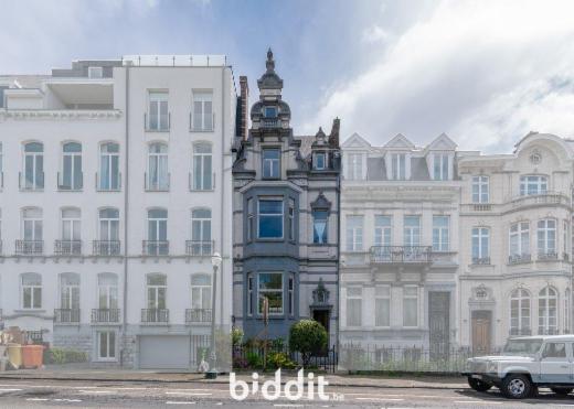 Presentatiebeeld van het pand n° 288846