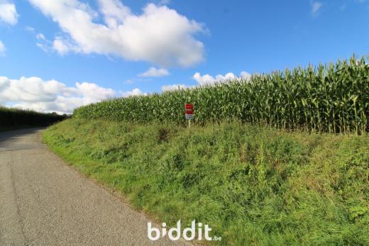 Eerste alternatieve foto van het pand