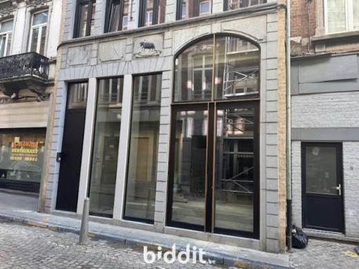 Presentatiebeeld van het pand n° 289810