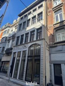 Presentatiebeeld van het pand n° 289813