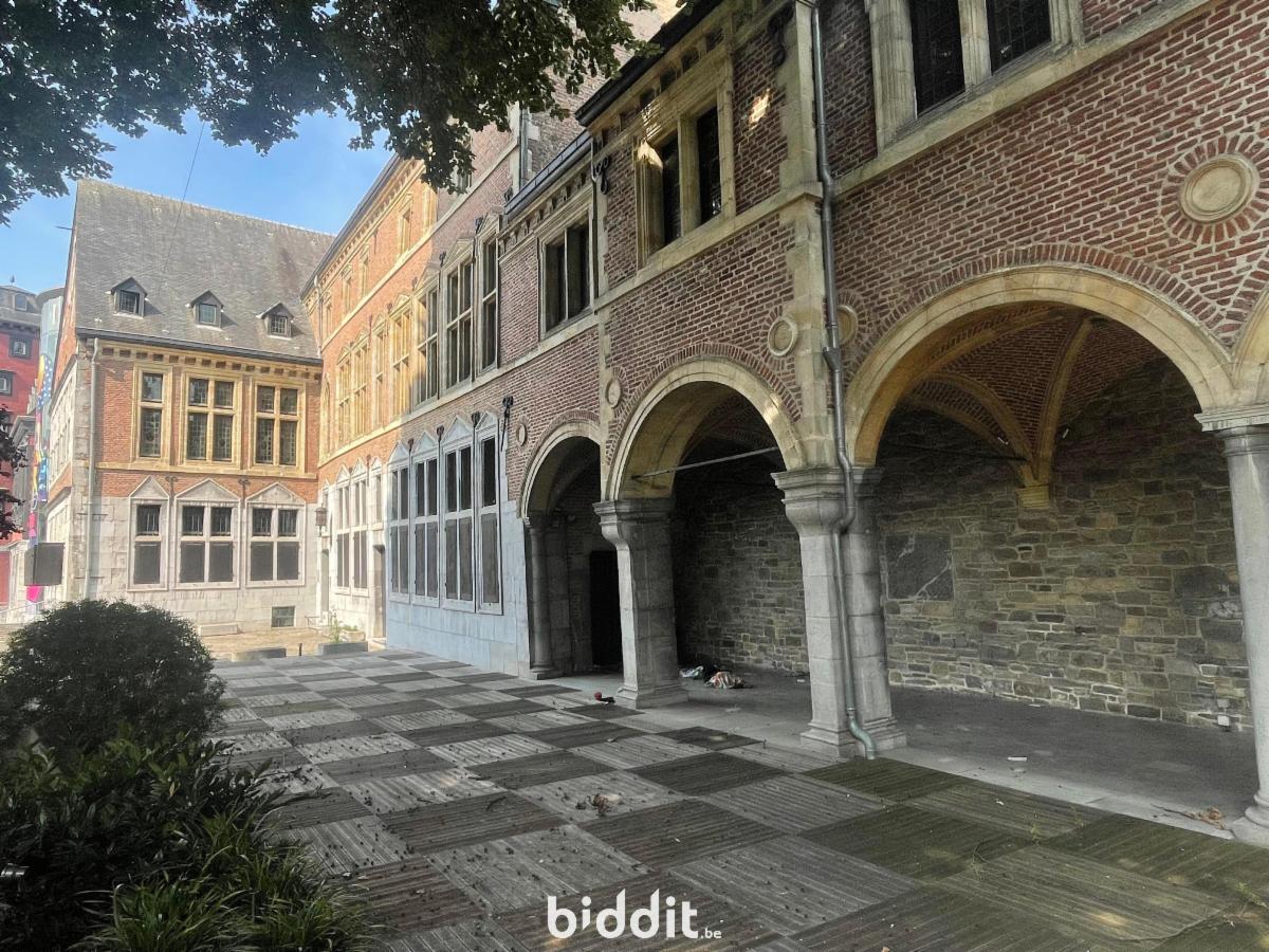 Presentatiebeeld van het pand n° 295204