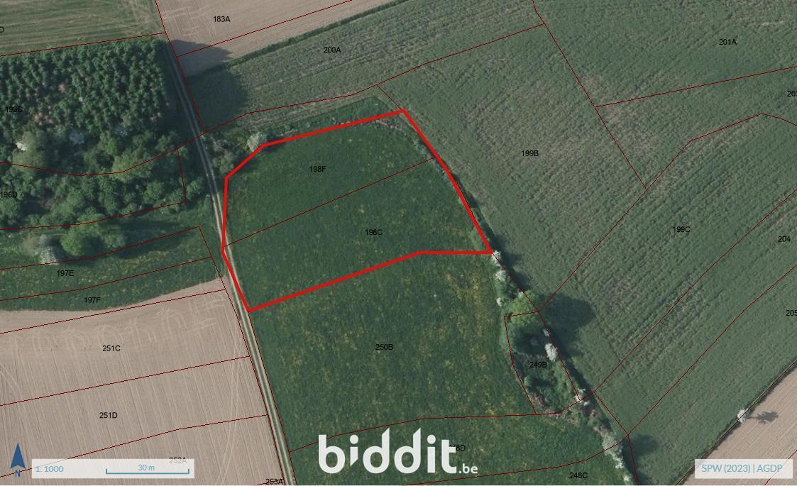 Presentatiebeeld van het pand n° 291291