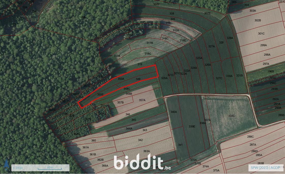 Presentatiebeeld van het pand n° 291294