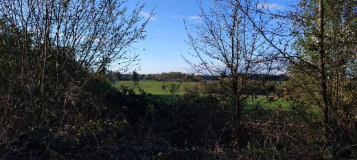 Eerste alternatieve foto van het pand