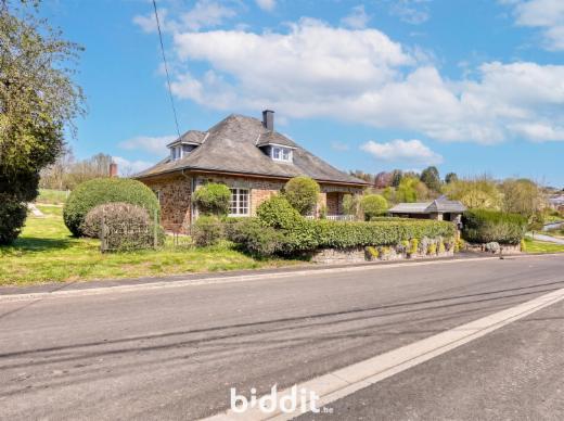 Presentatiebeeld van het pand n° 295956