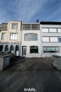 Presentatiebeeld van het pand n° 295624