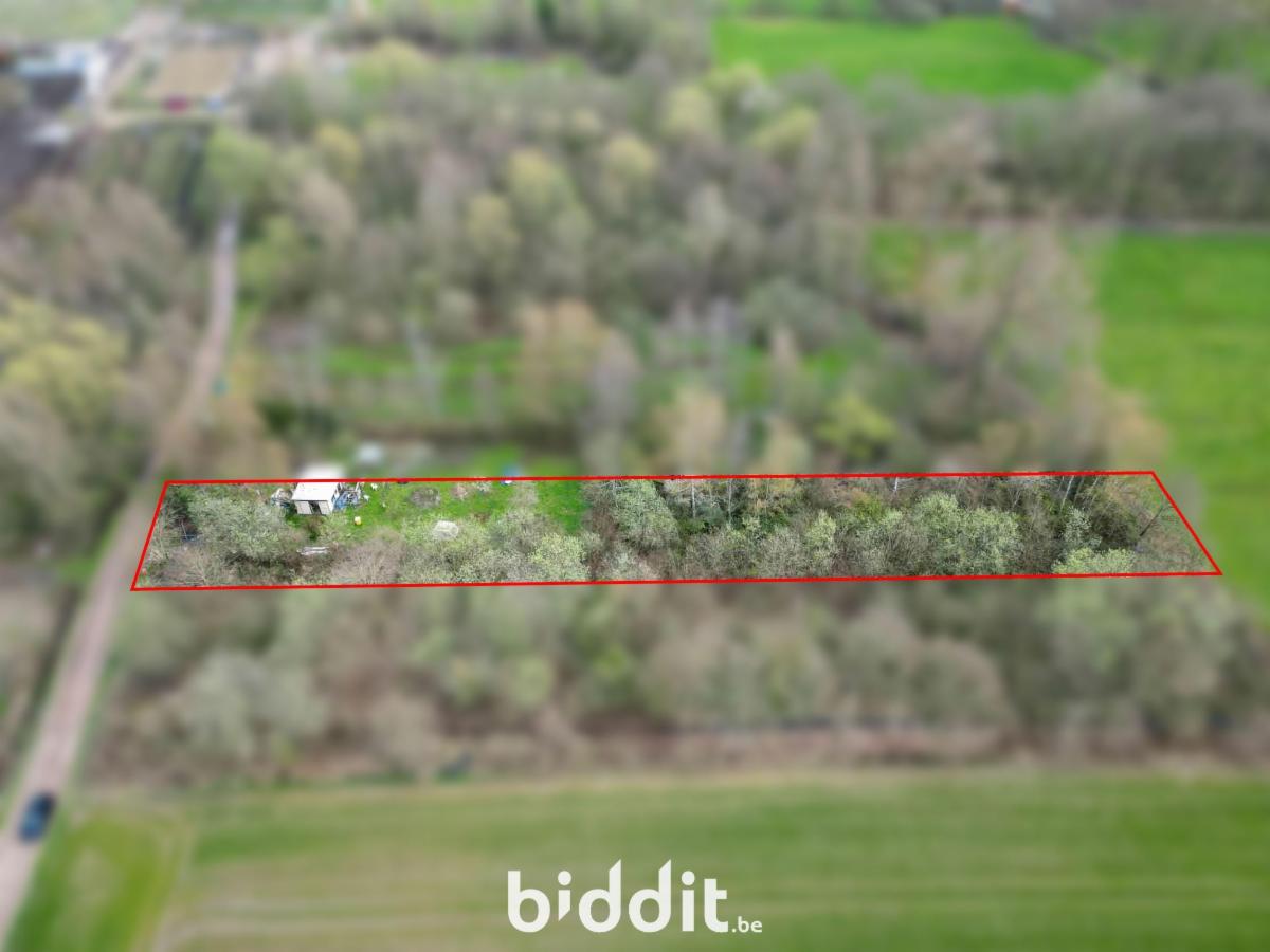 Presentatiebeeld van het pand n° 296816