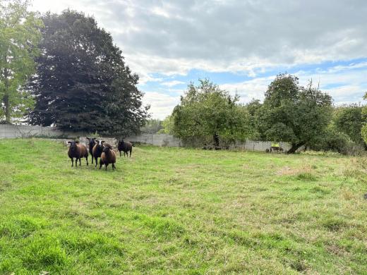 Tweede alternatieve foto van het pand