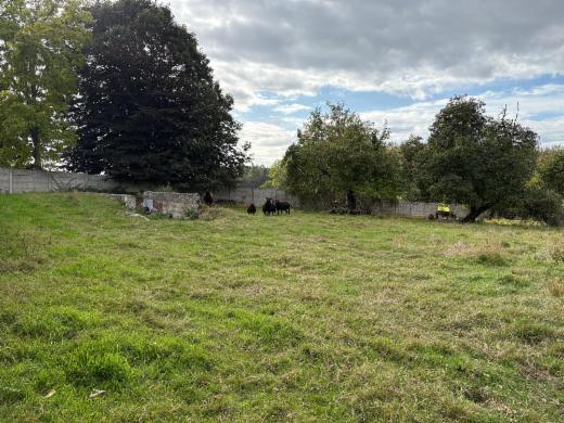 Derde alternatieve foto van het pand