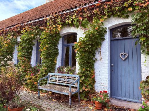 Eerste alternatieve foto van het pand