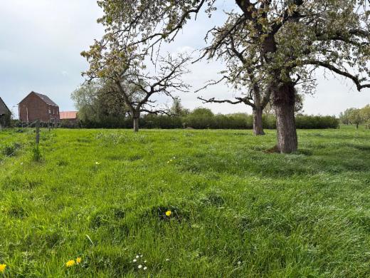 Tweede alternatieve foto van het pand