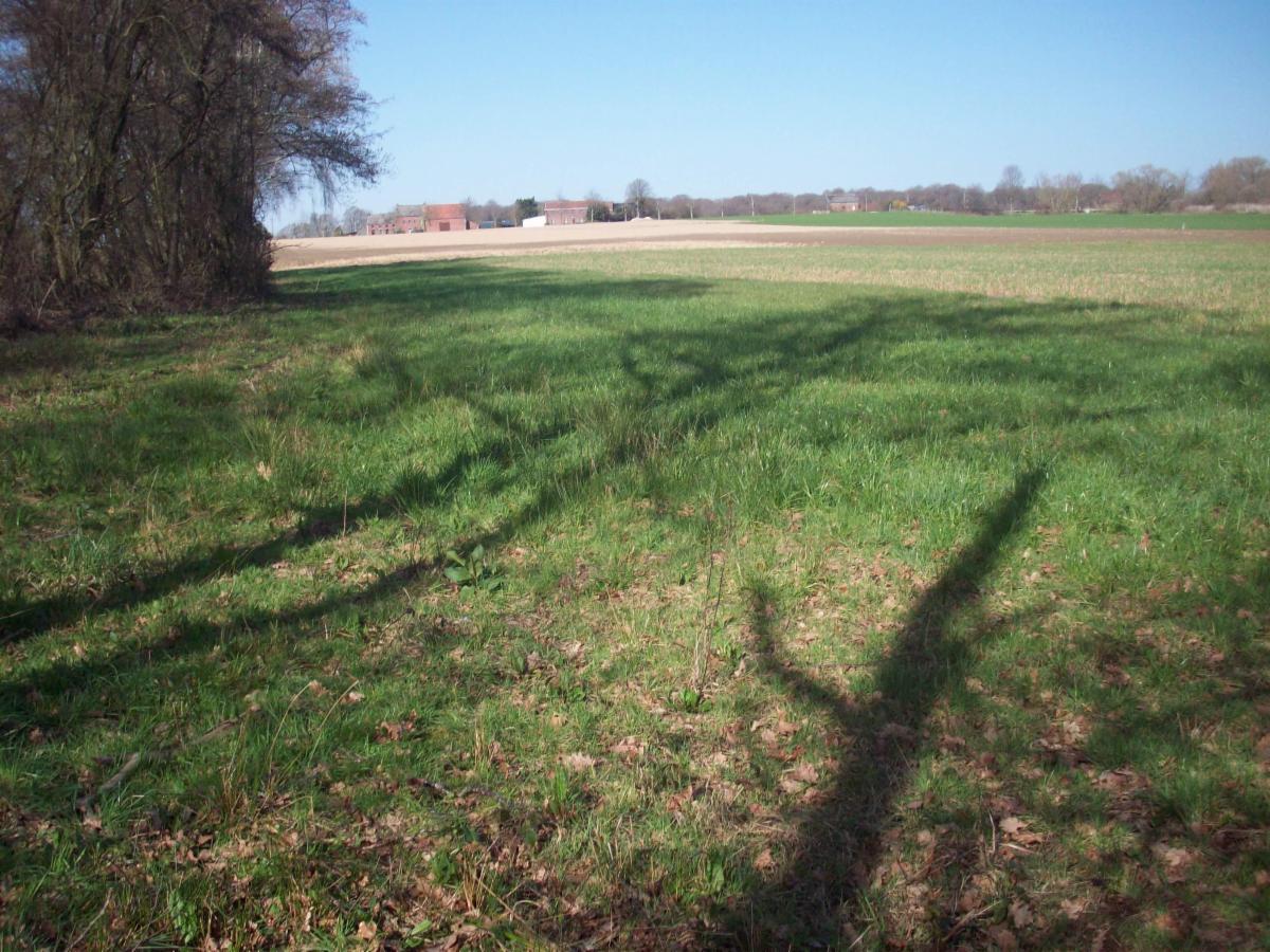 Presentatiebeeld van het pand n° 298484