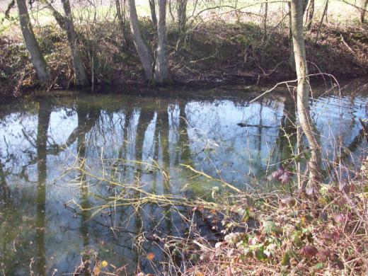 Tweede alternatieve foto van het pand