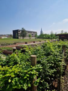 Derde alternatieve foto van het pand