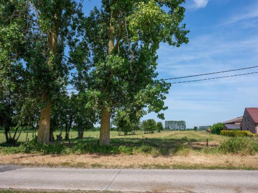 Presentatiebeeld van het pand n° 299042