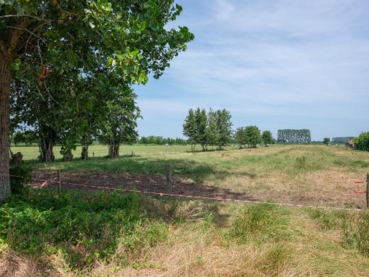 Tweede alternatieve foto van het pand
