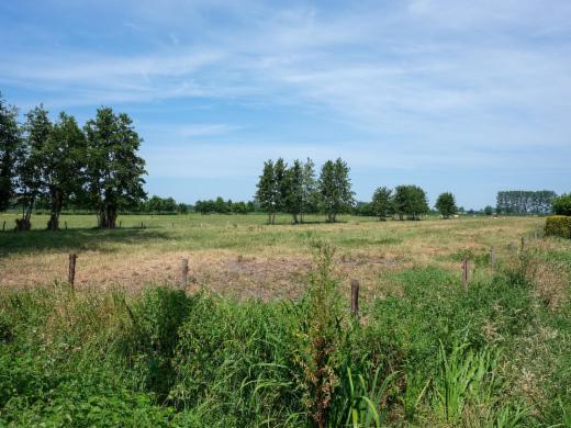 Derde alternatieve foto van het pand