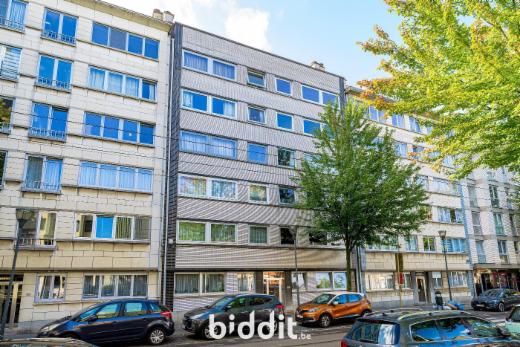 Presentatiebeeld van het pand n° 286738