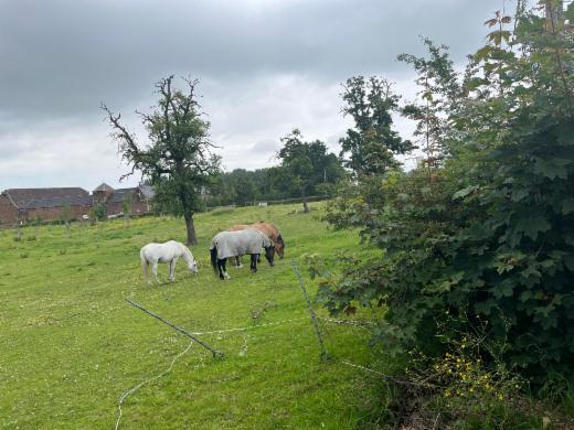 Tweede alternatieve foto van het pand