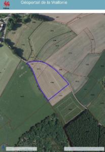 Presentatiebeeld van het pand n° 296830