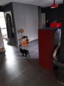 Derde alternatieve foto van het pand