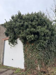 Derde alternatieve foto van het pand