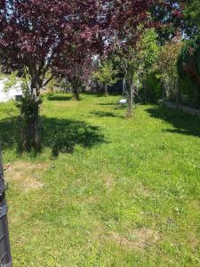 Tweede alternatieve foto van het pand