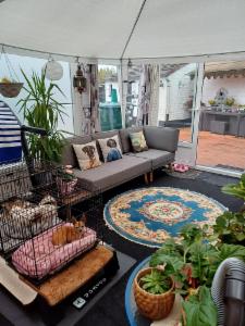 Derde alternatieve foto van het pand