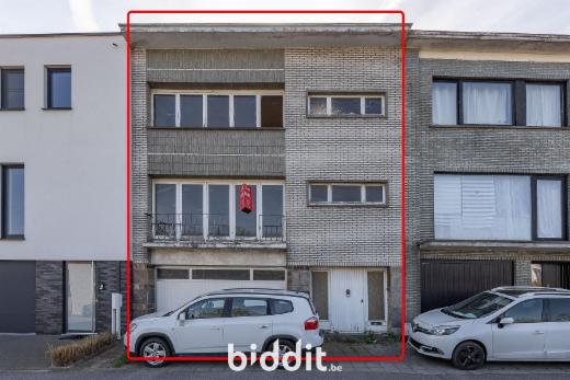Presentatiebeeld van het pand n° 299272