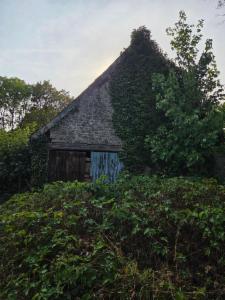 Tweede alternatieve foto van het pand