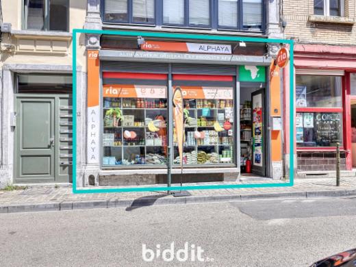 Presentatiebeeld van het pand n° 287242