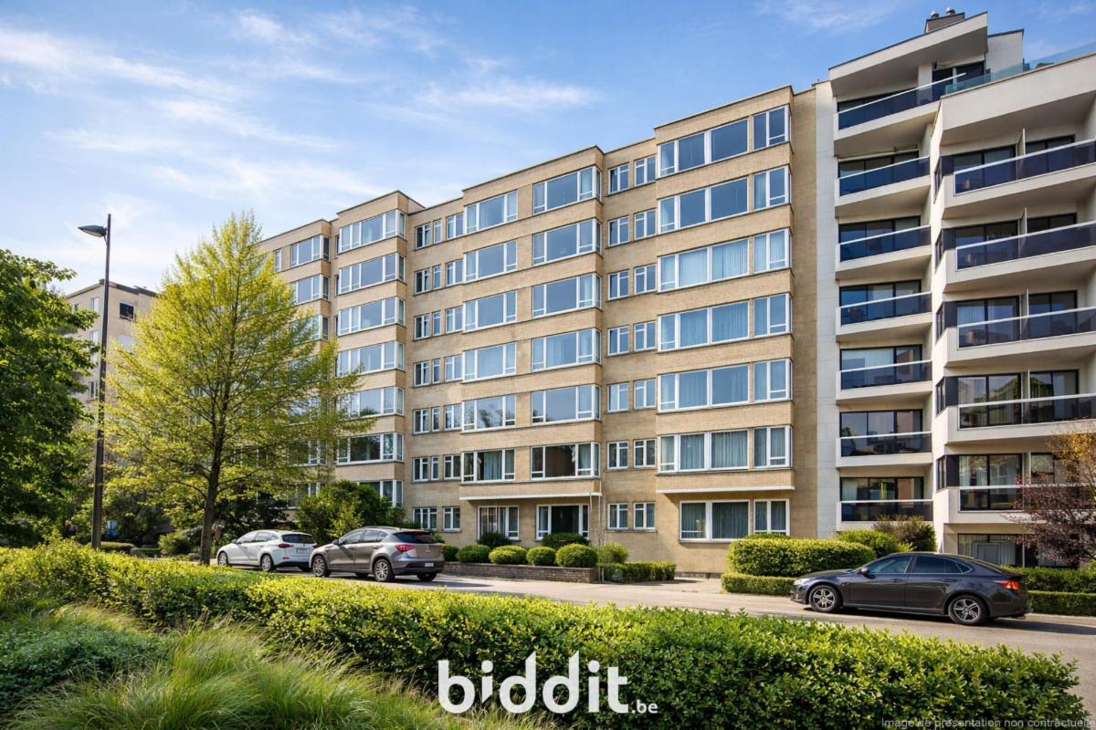 Presentatiebeeld van het pand n° 292319