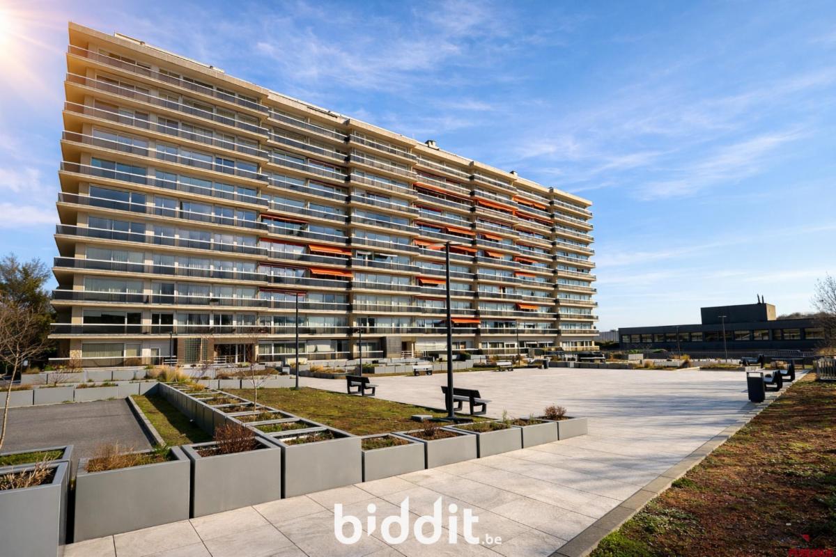 Presentatiebeeld van het pand n° 293876