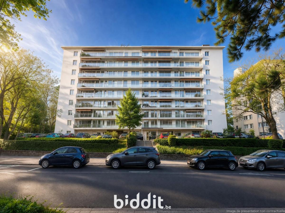 Presentatiebeeld van het pand n° 295249