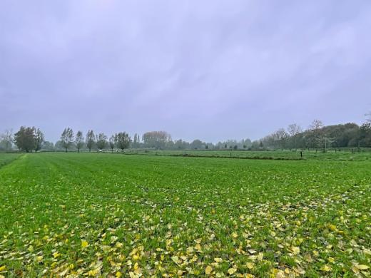 Tweede alternatieve foto van het pand